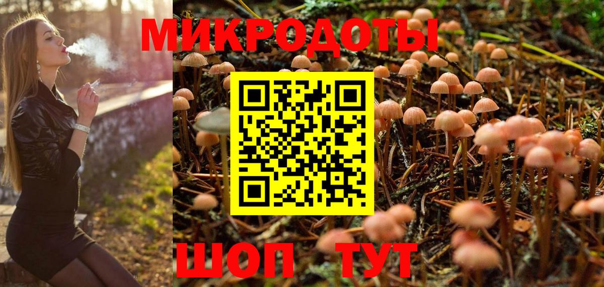 Галлюциногенные грибы Cubensis Новоалтайск