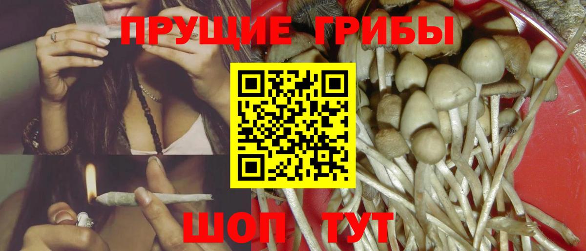 Псилоцибиновые грибы Psilocybe  Вход с VPN  Новоалтайск  Псилоцибиновые грибы ЛСД 